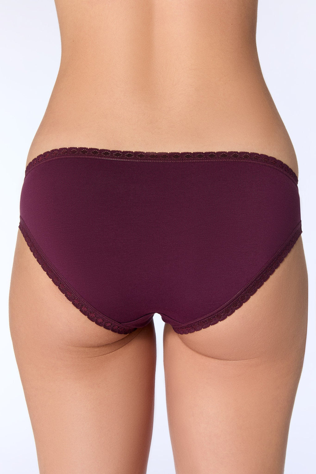 Women's Brief with Lace, Aubergine 3-Pack