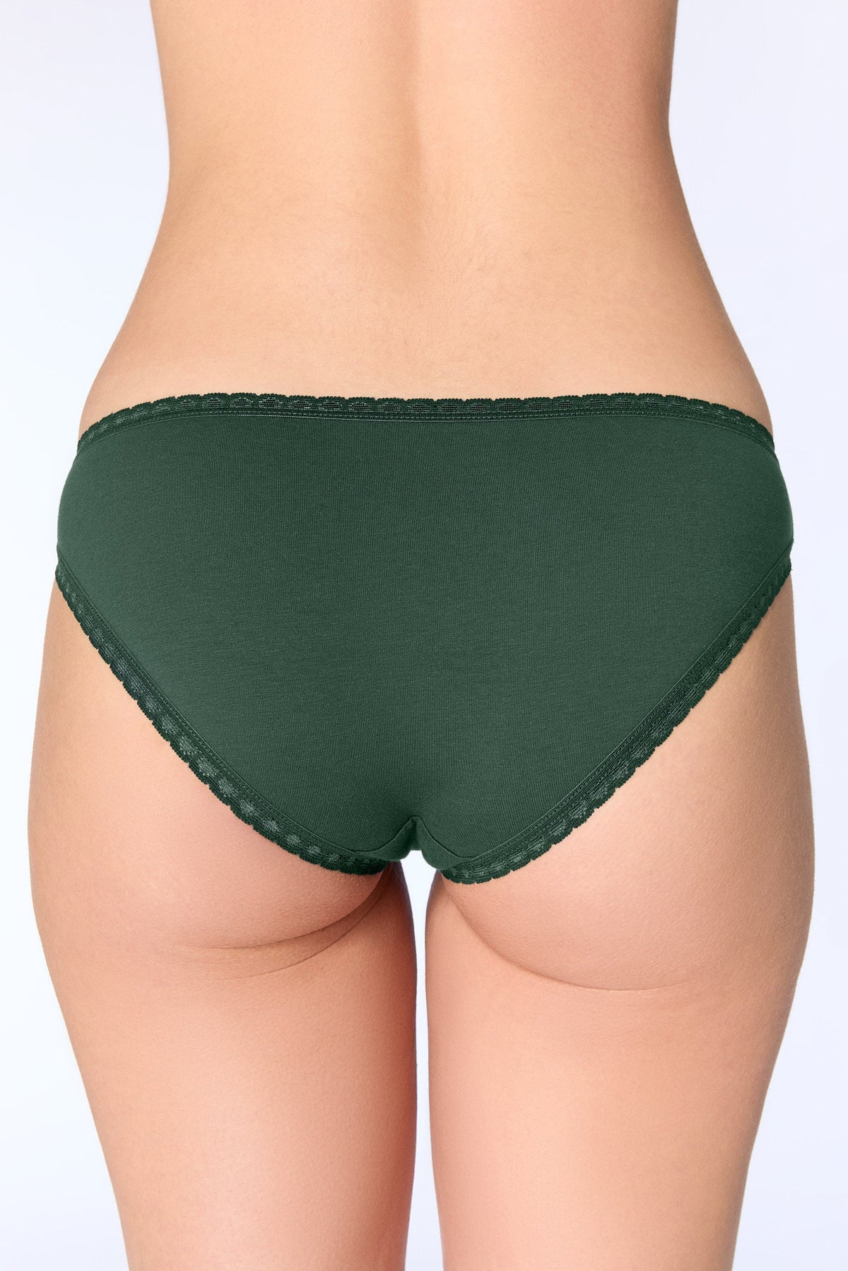 Women's Brief with Lace, Pine Needle
