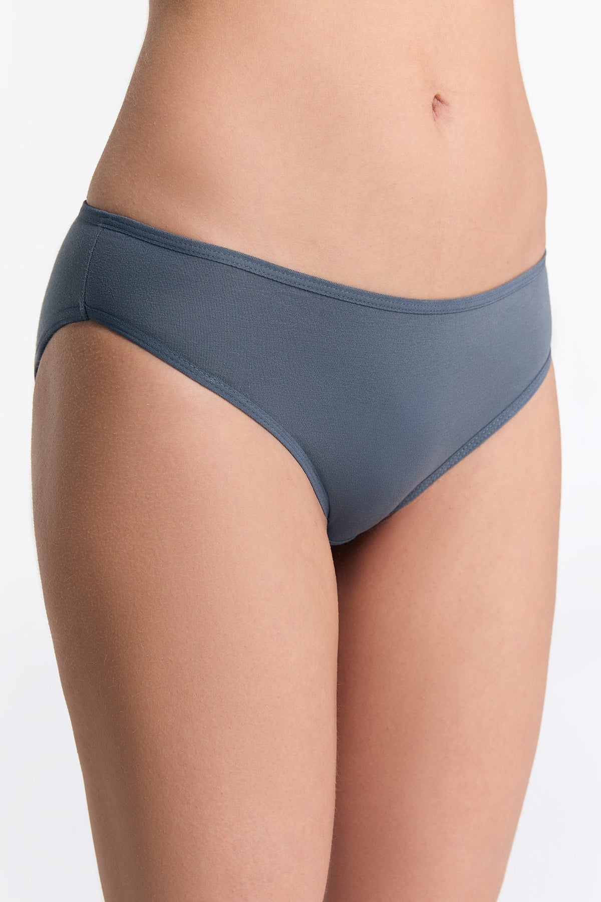 Women's Brief Classic, Dark Slate 3-Pack