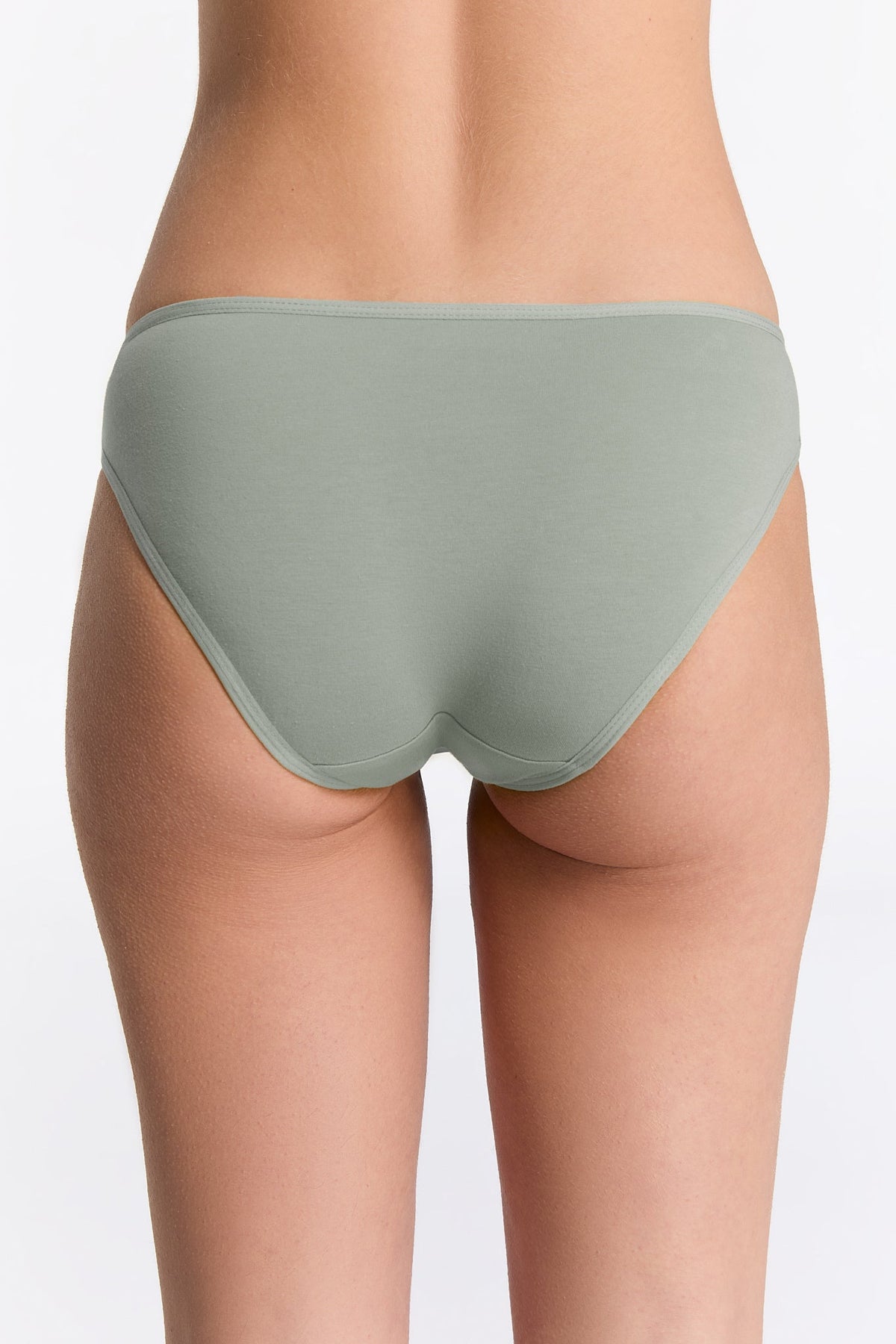 Women's Brief Classic, Iceberg Green 3-Pack
