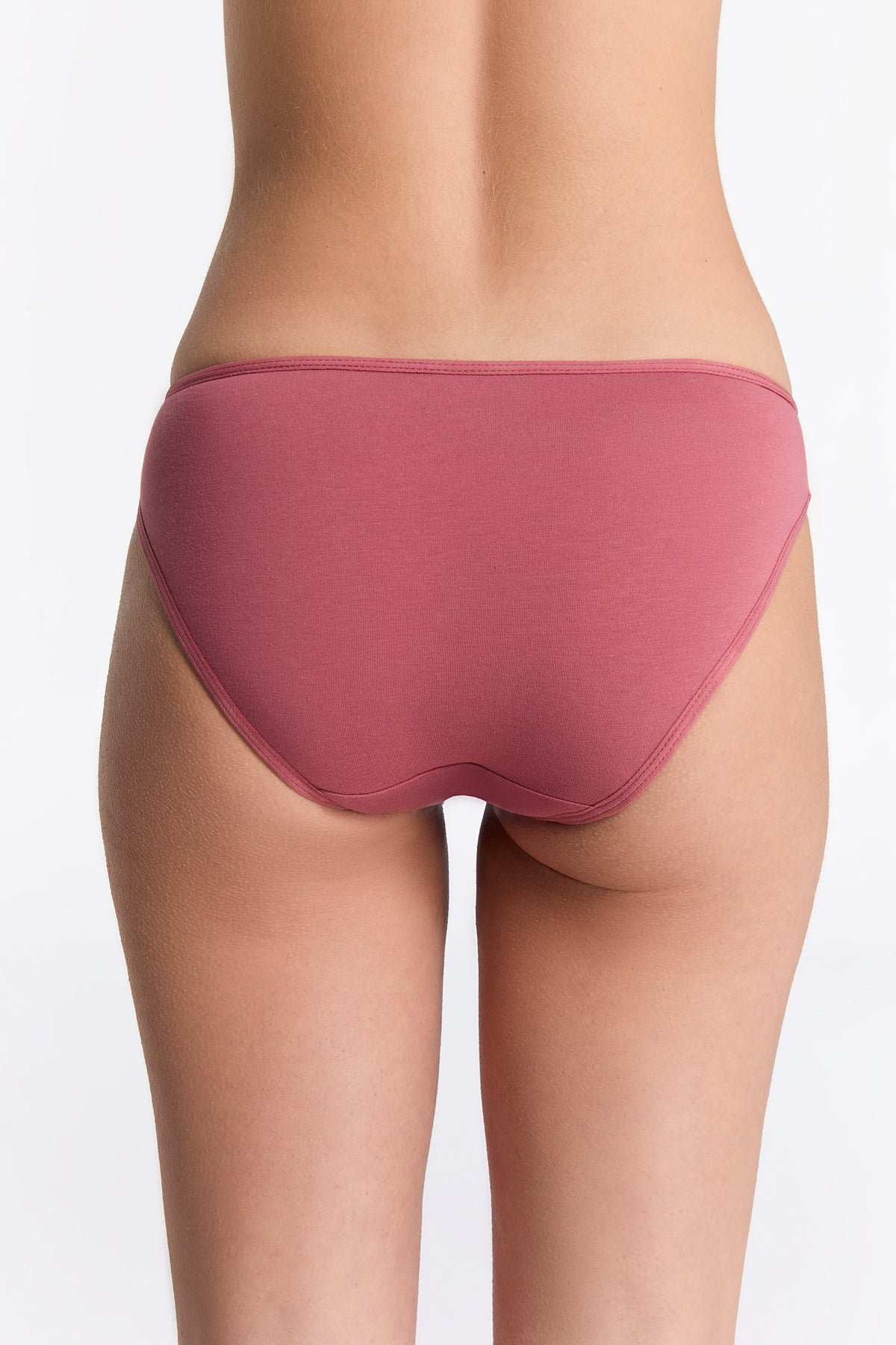 Women's Brief Classic, Faded Rose 3-Pack