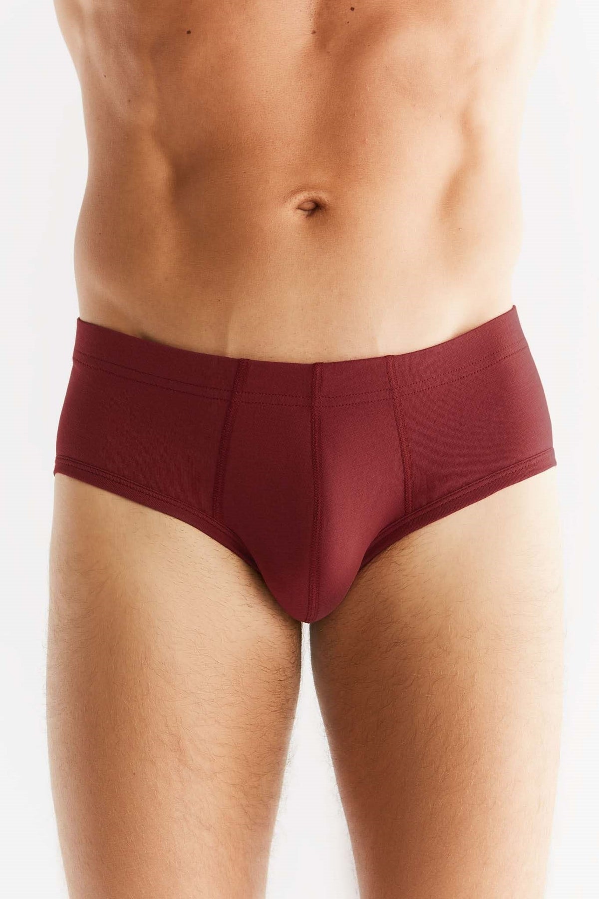 Men's Brief, Bordeaux — Albero Natur