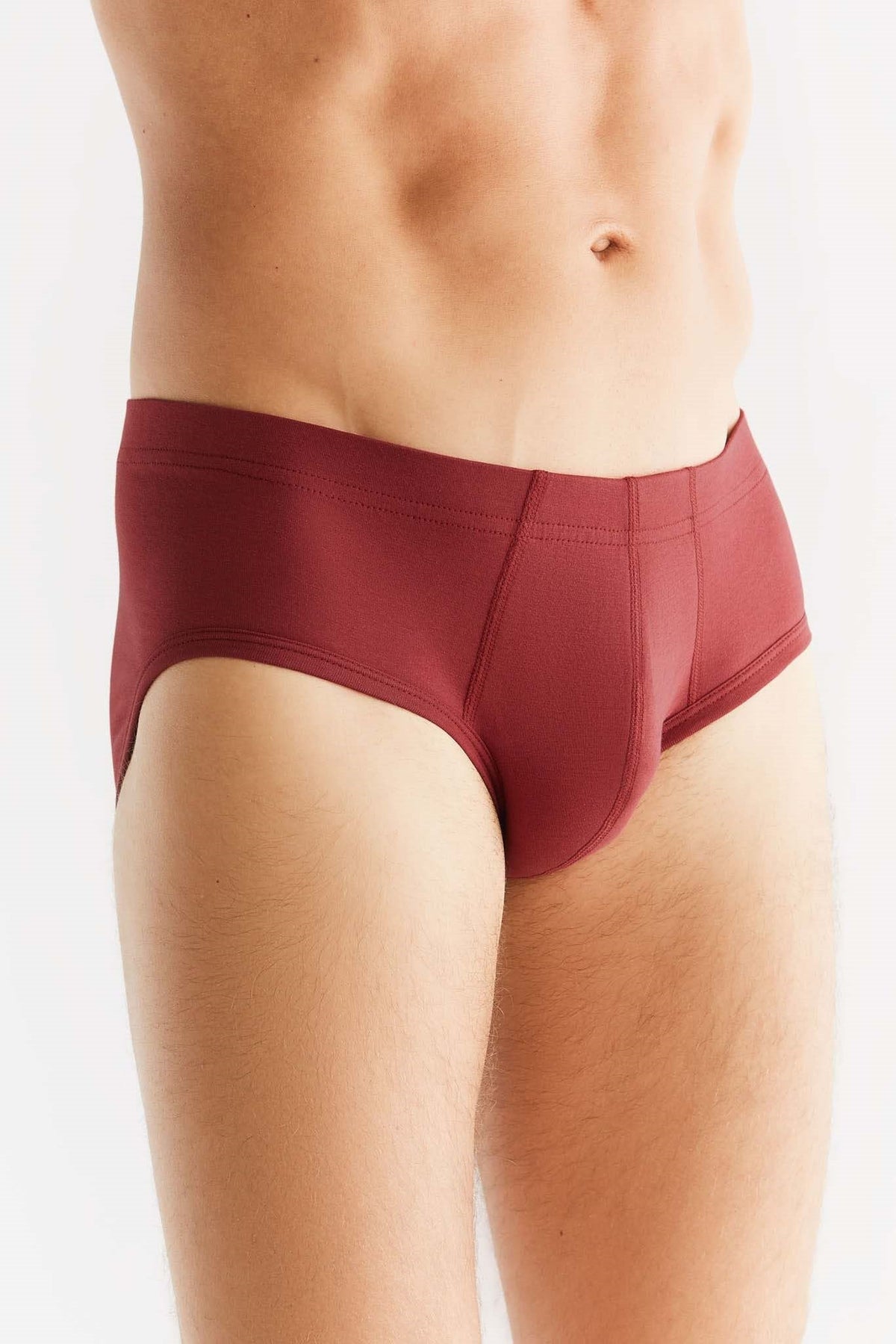 Men's Brief, Bordeaux — Albero Natur, view 2
