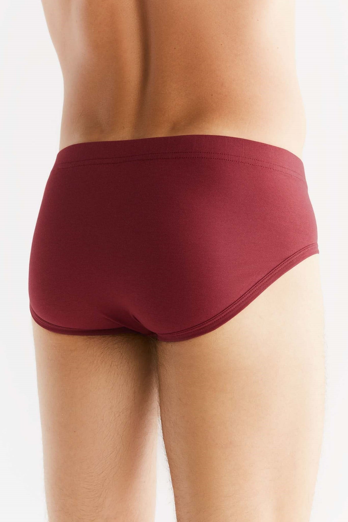 Men's Brief, Bordeaux — Albero Natur, view 3