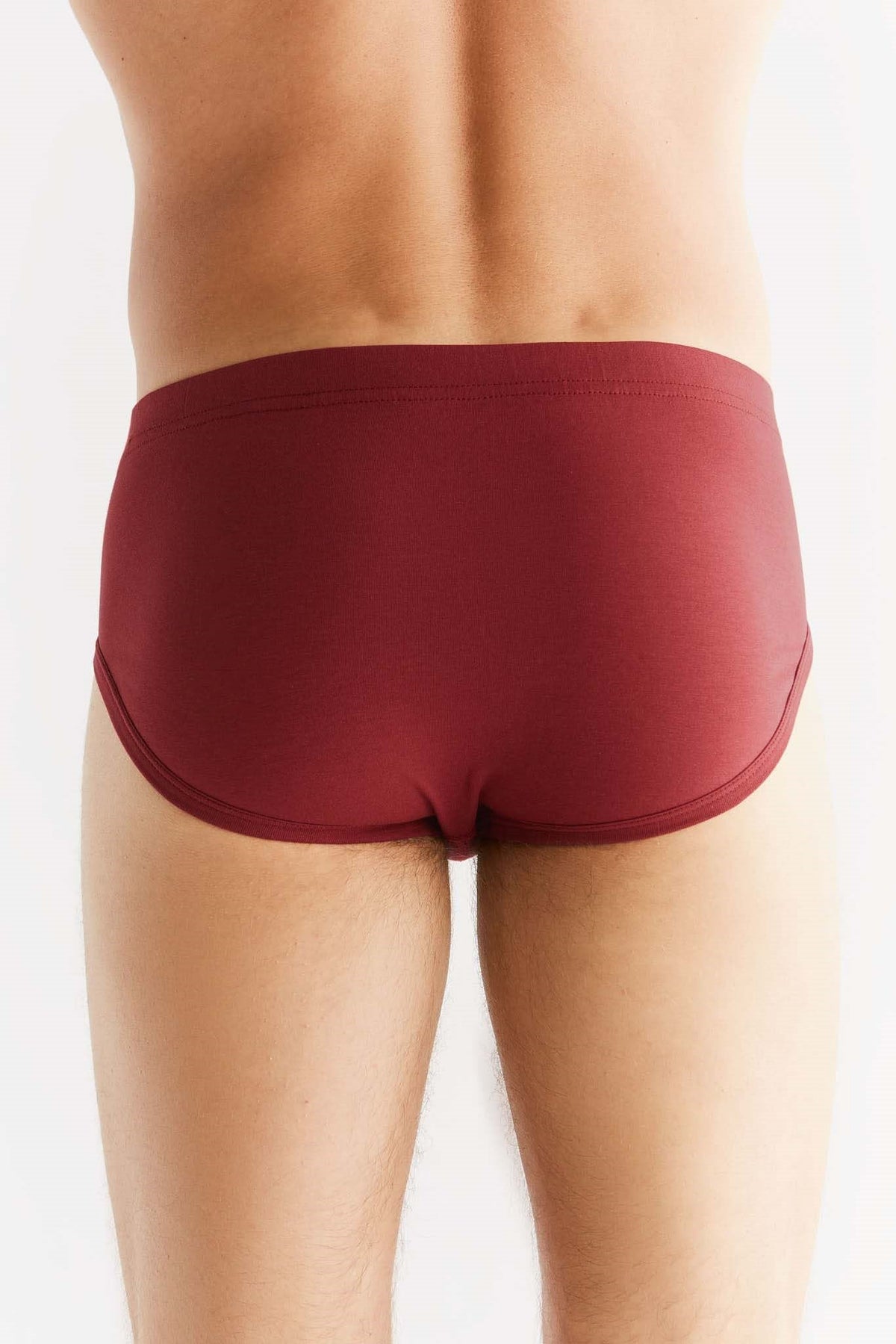 Men's Brief, Bordeaux — Albero Natur, view 4