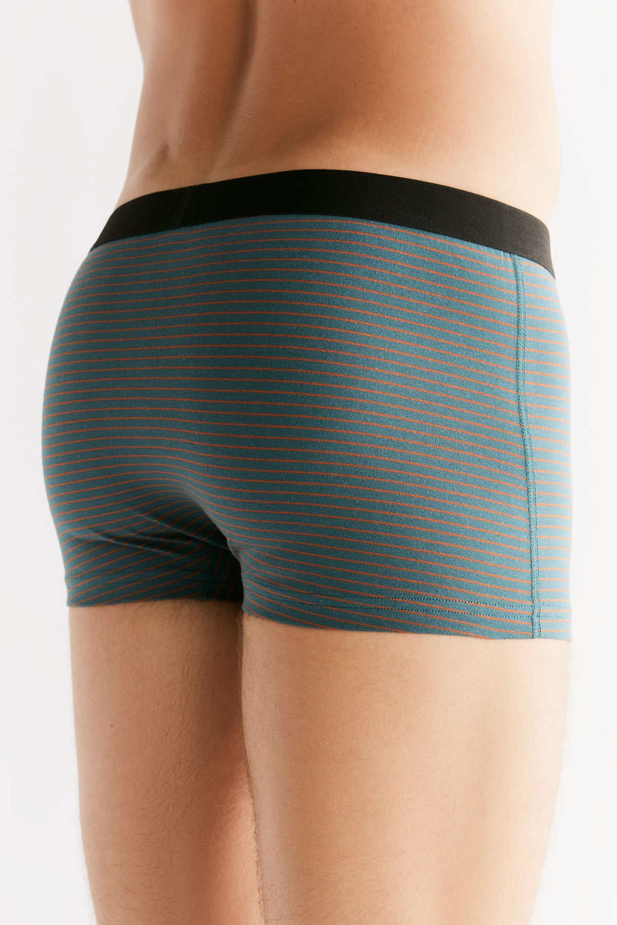 Men's Trunks, Fir / Tabasco — Albero Natur, view 3