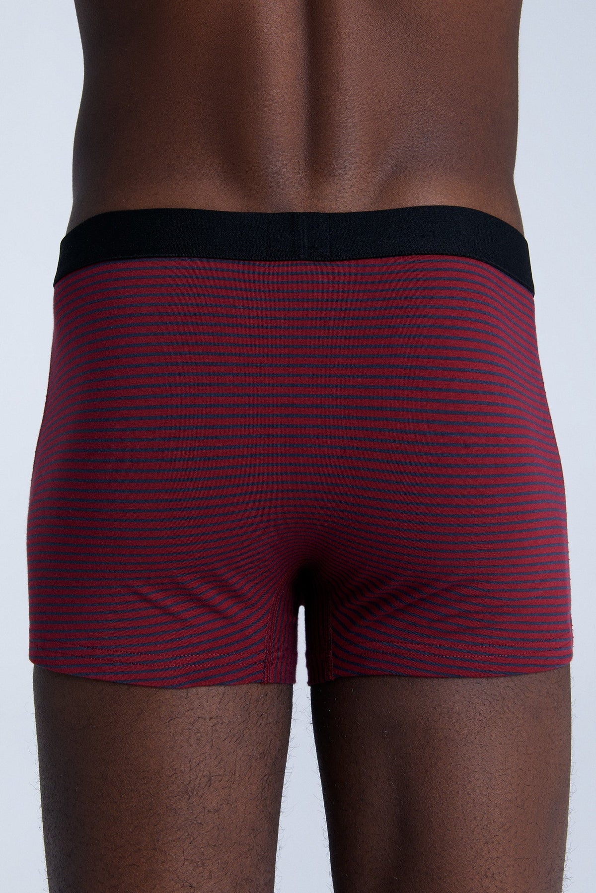 Men's Trunks, Tibet Red / Navy Striped — Albero Natur, view 2