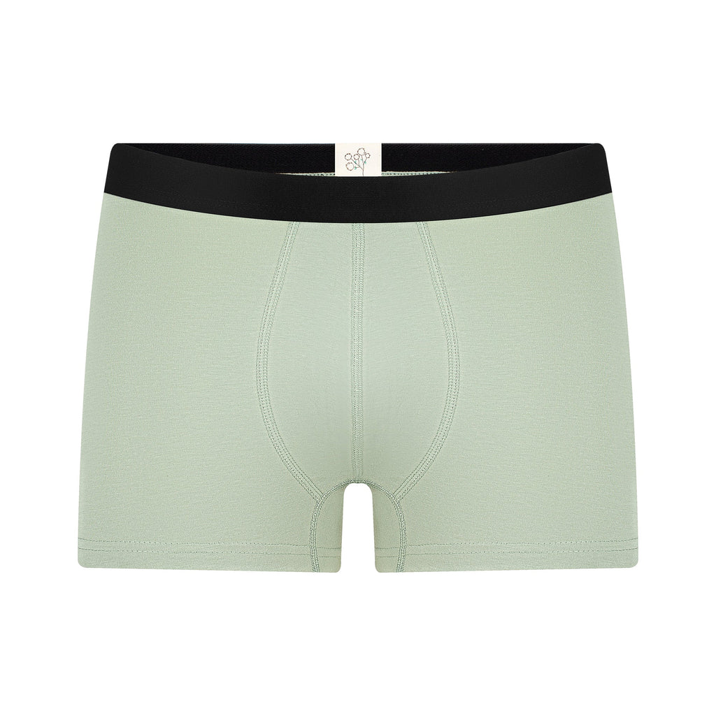 Men's Trunks, Iceberg Green 3 err Pack
