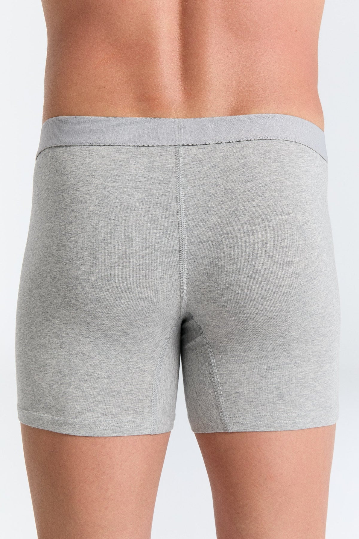 Men's Boxer Shorts, Grey-Melange — Albero Natur, view 3
