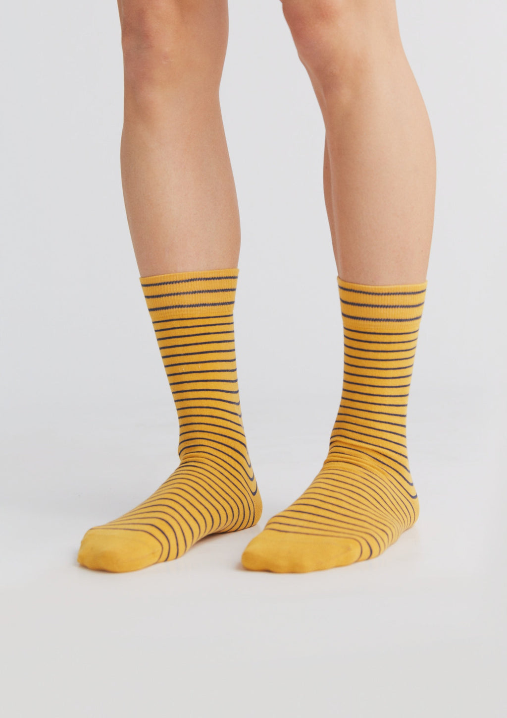 Unisex Premium Socks with Longer Cuffs, Mustard/ Indigo (6-Pack)