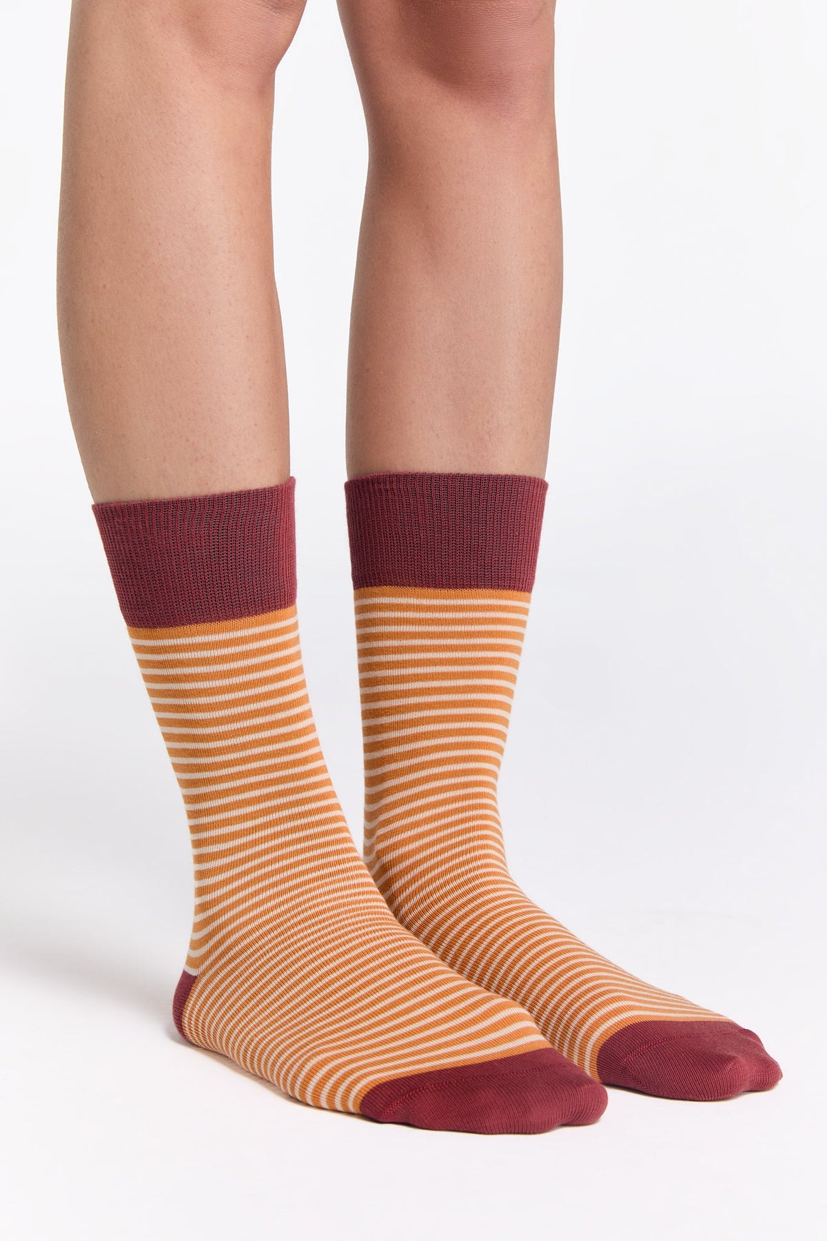 Socks, Red Ochre / Golden Ochre / Natural (6-Pack) — Albero Natur