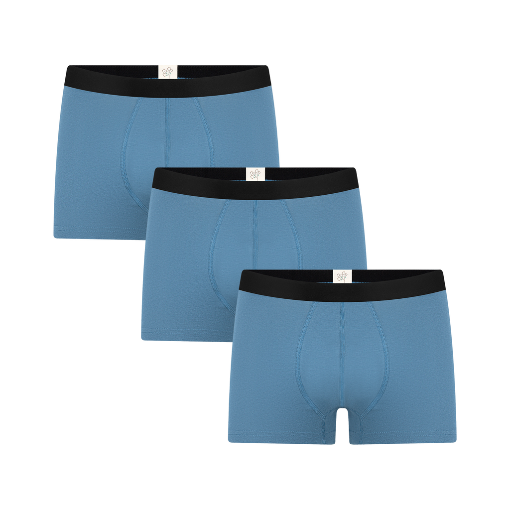 Men's Trunks, Alpine Grey 3-Pack