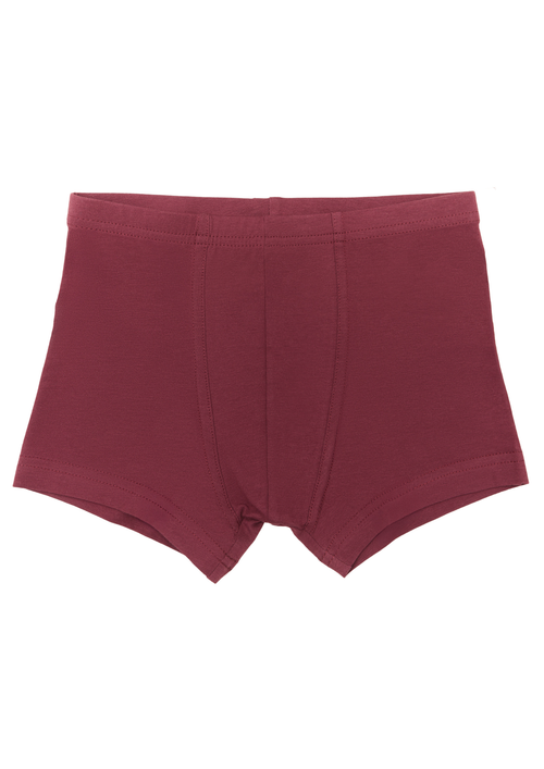 Boys' Retro Shorts, Bordeaux — Albero Natur