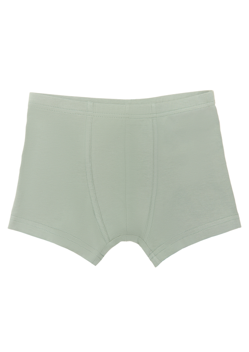 Boys' Retro Shorts, Iceberg Green — Albero Natur