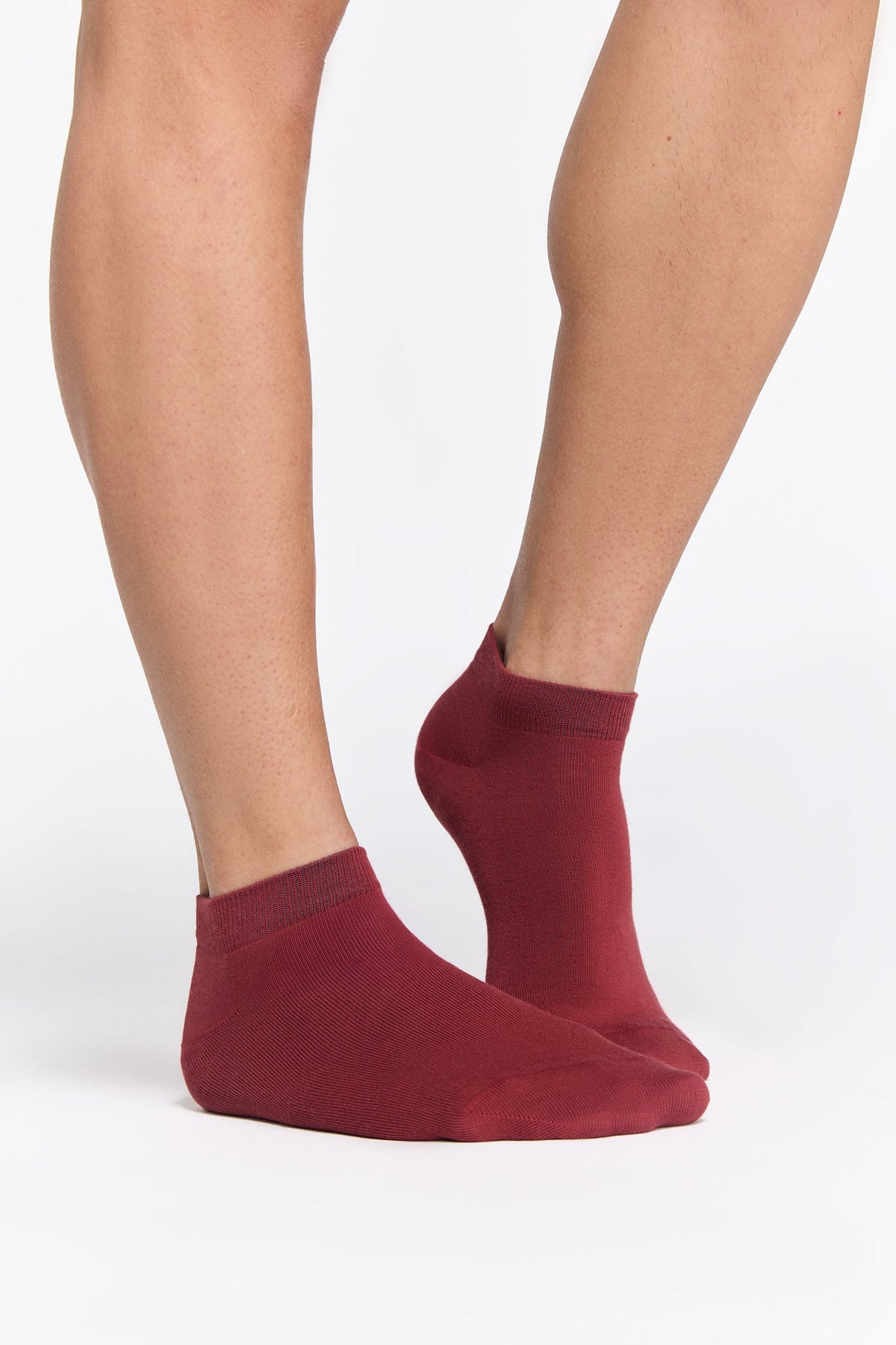 Trainer Socks, Red Ochre (6-Pack) — Albero Natur, view 2