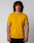 Yolk Yellow