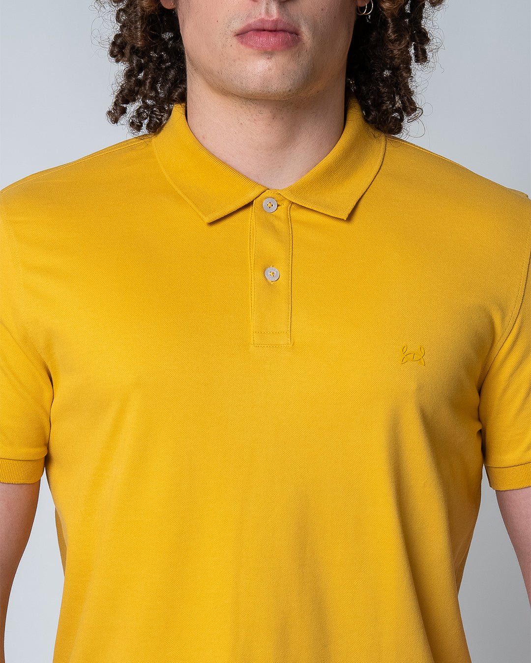 Yolk Yellow